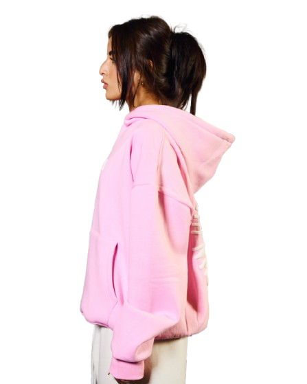 HIDDEN HERO PINK HOODIE